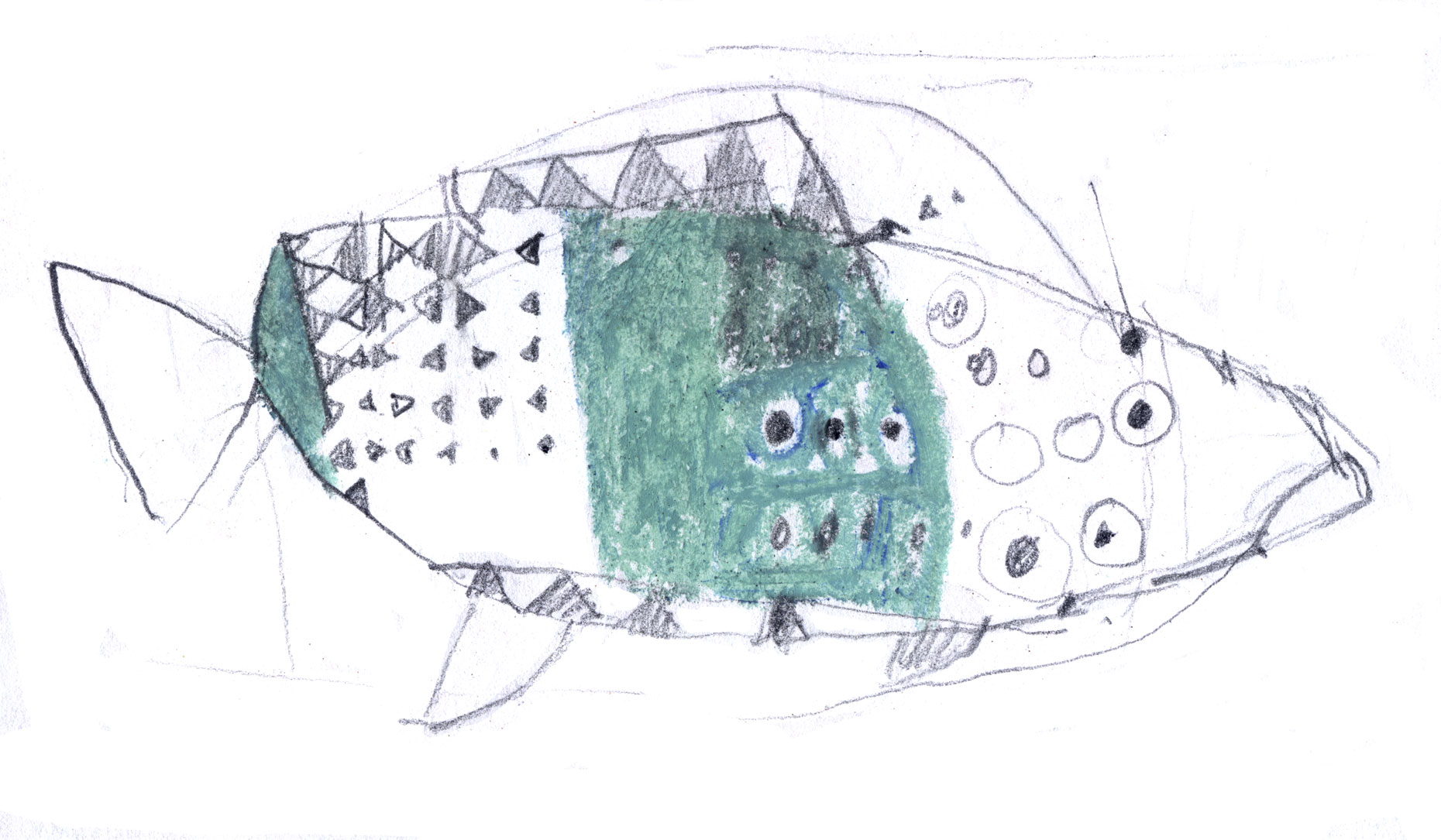 fish111